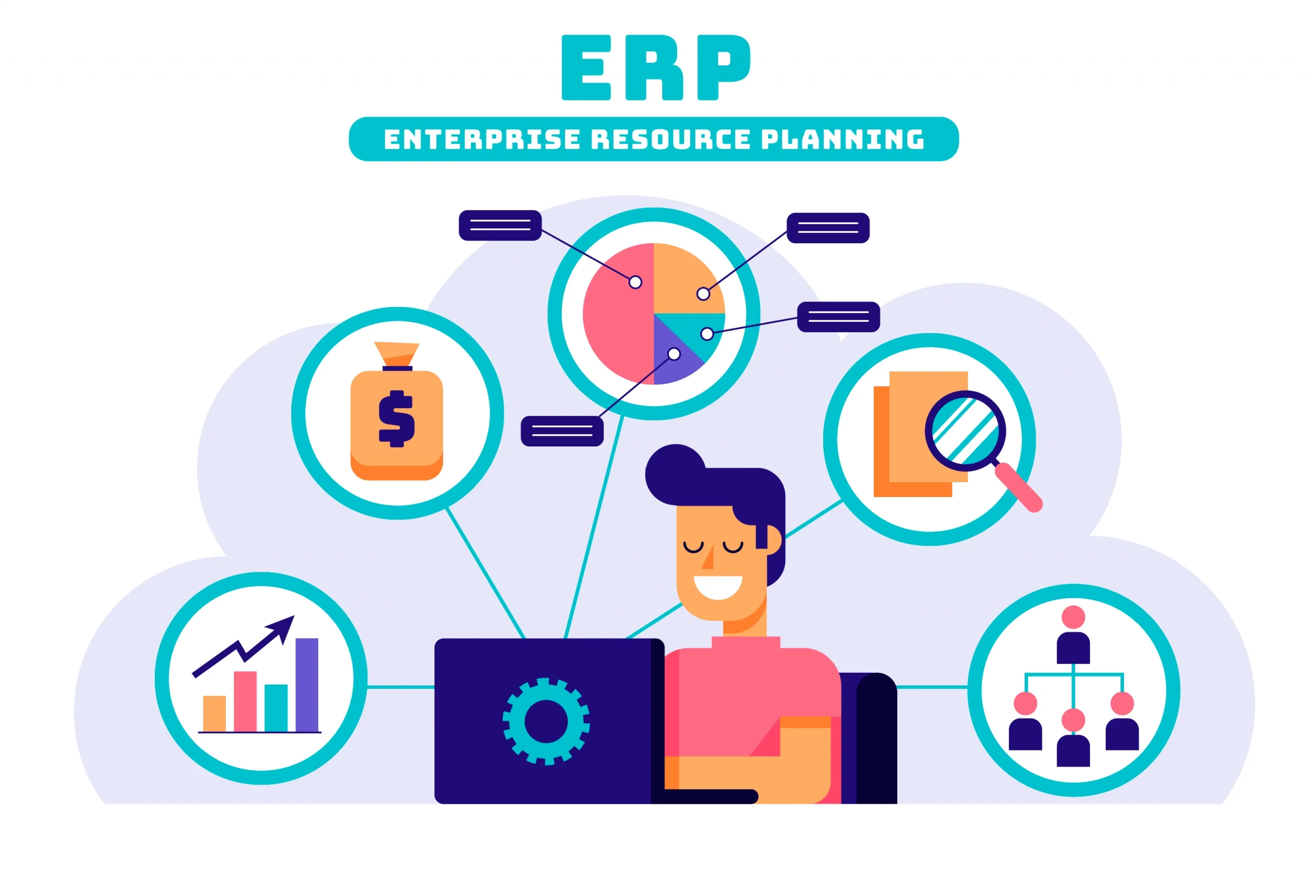 Enterprise Resource Planning (ERP):