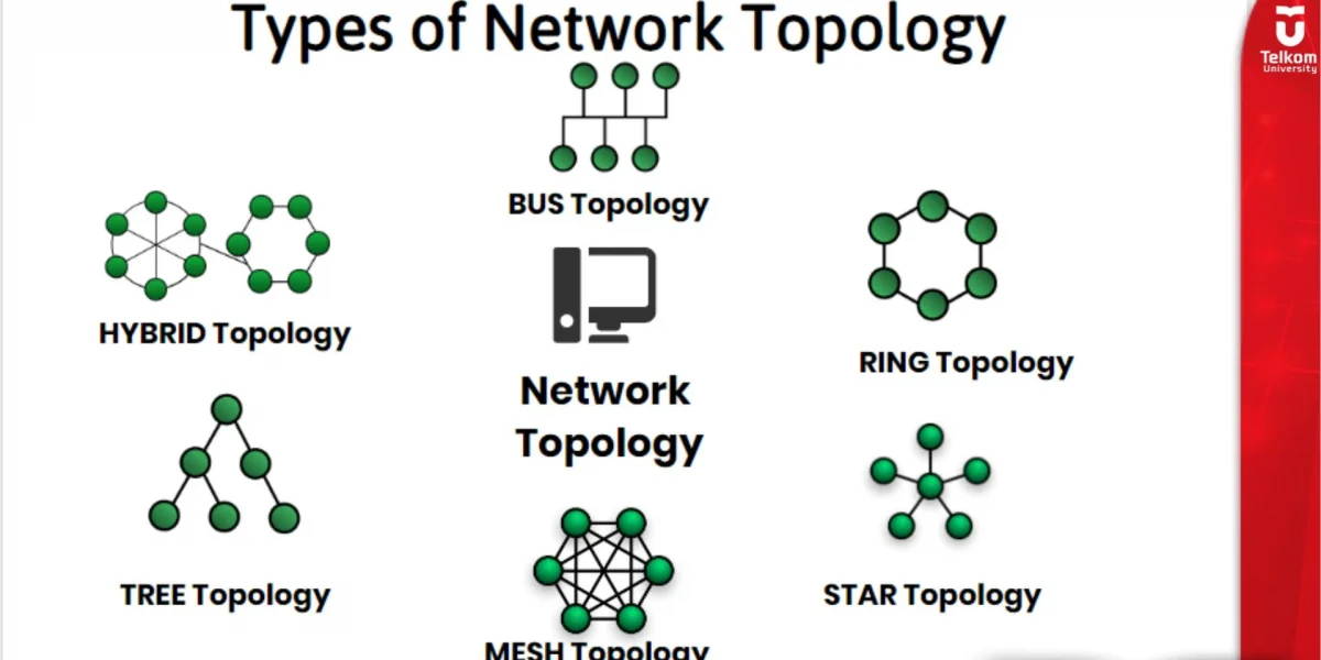 Perbandingan Topologi Jaringan Panduan Memilih yang Tepat