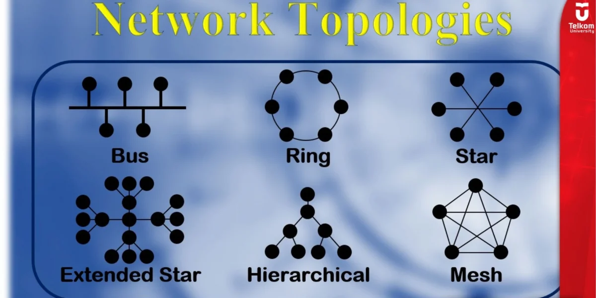 Memilih Topologi untuk Jaringan Kecil Panduan dan Contoh Kasus