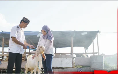 Idul Adha 1446 H
