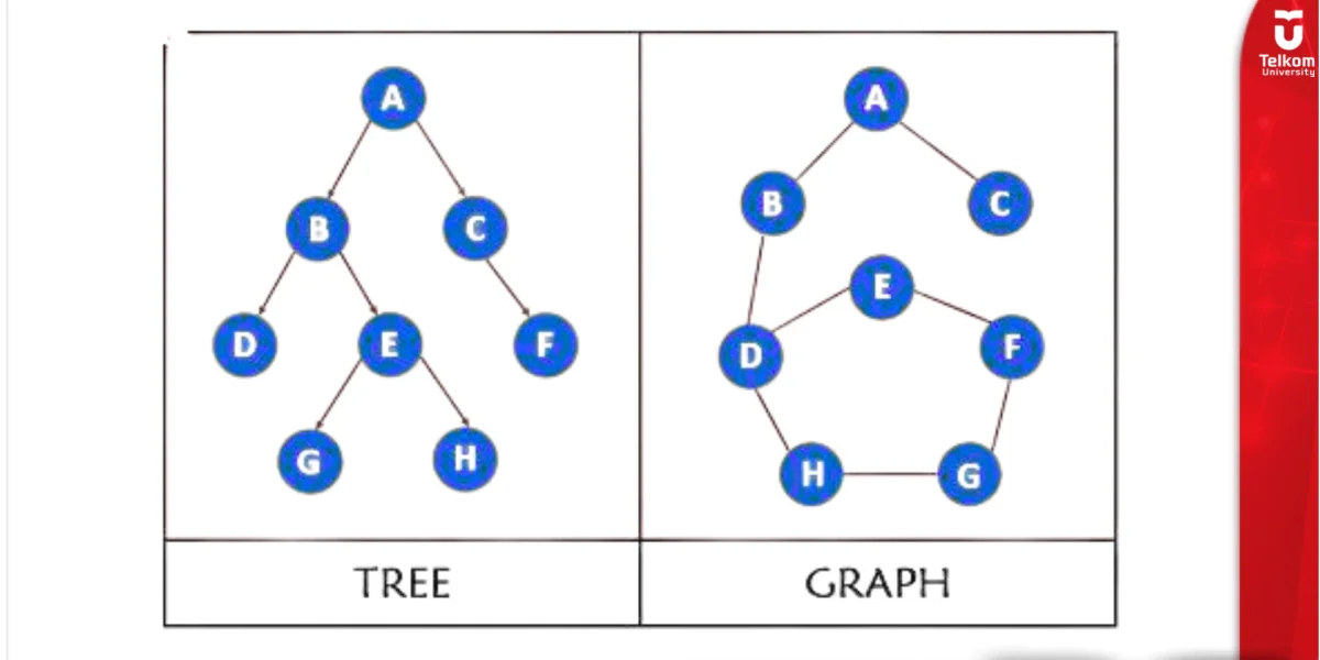 Pengenalan Tree dan Graph dalam Struktur Data