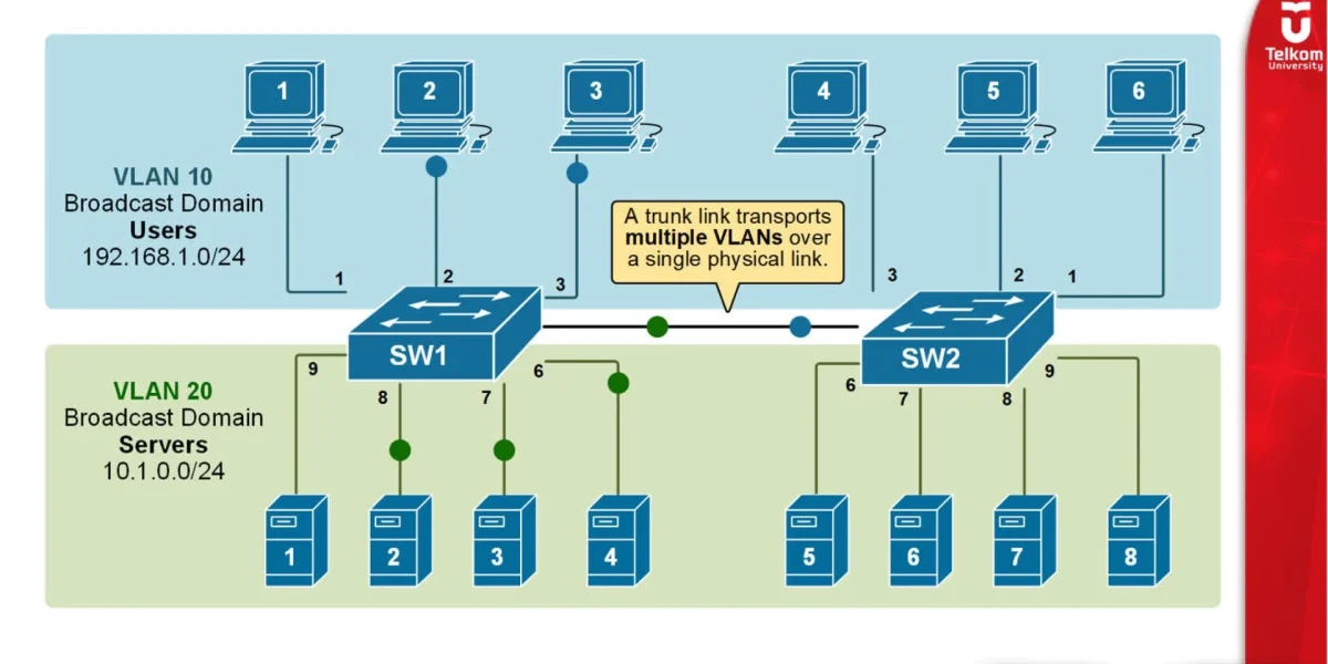 Mengenal VLAN dan Konsep Virtualisasi Jaringan