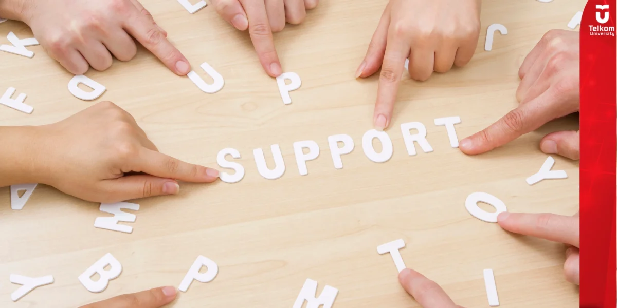 cover artikel peer support system