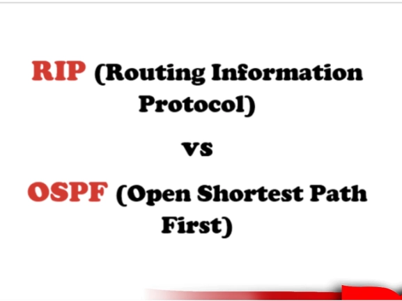 Apa Itu Routing Protocol? Mengenal RIP dan OSPF