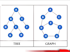 Pengenalan Tree dan Graph dalam Struktur Data