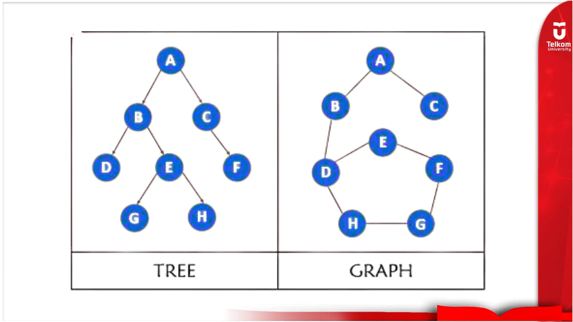 Pengenalan Tree dan Graph dalam Struktur Data