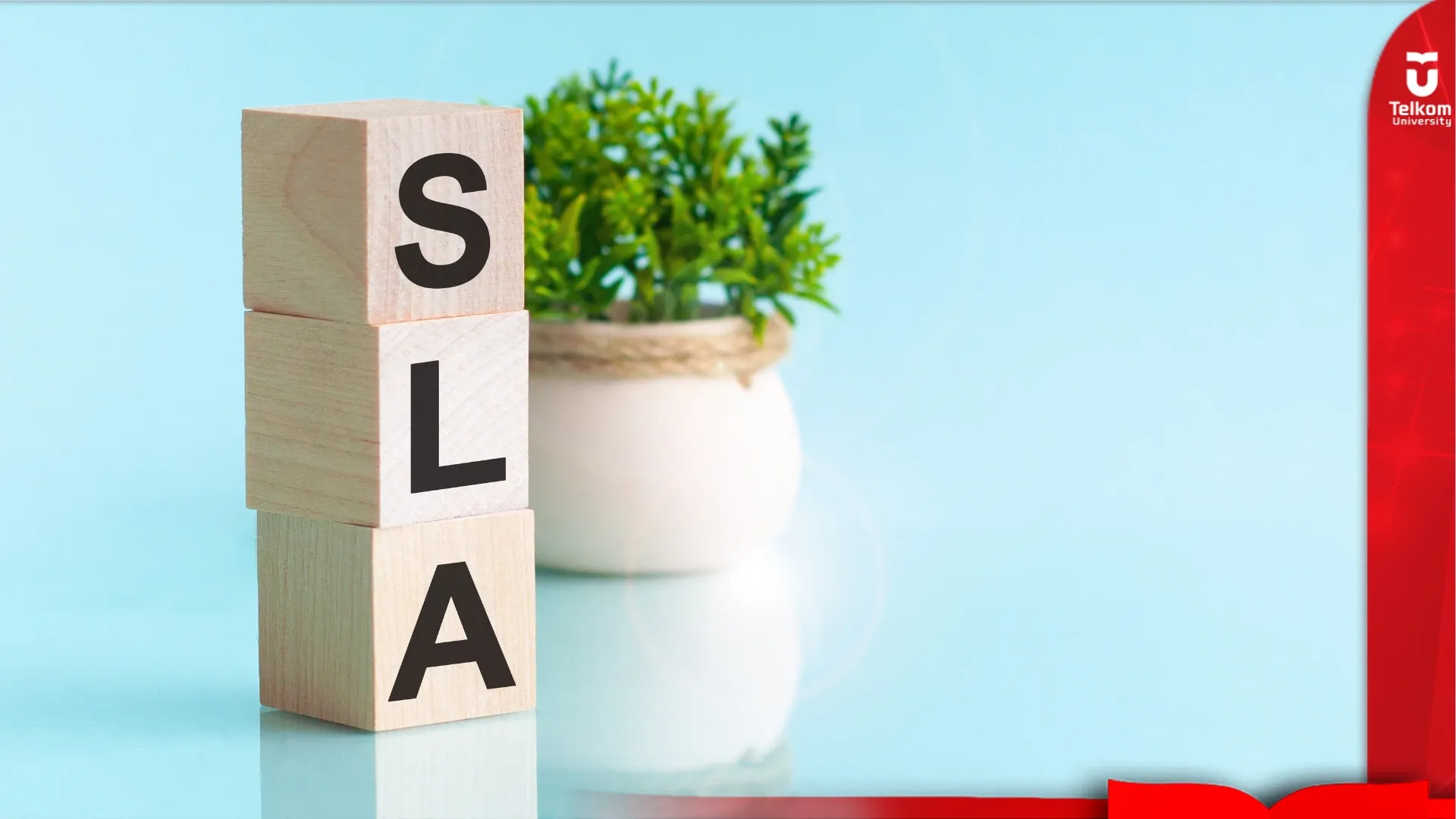 SLA untuk Layanan Cloud: Apa yang Harus Diperhatikan?