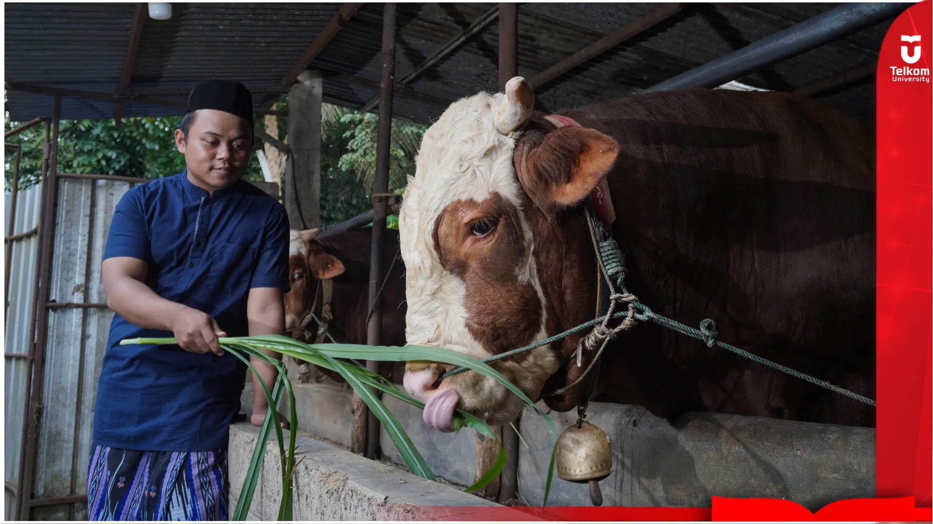 Menelusuri Makna dan Sejarah di Balik Hari Raya&hellip;